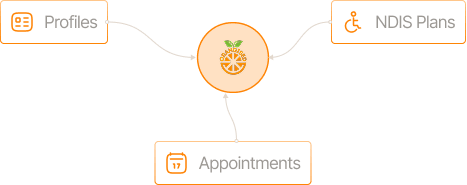 NDIS Participant Management Software - Centralised Client Hub